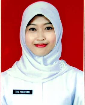 Profil